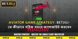 aviator betjili banner